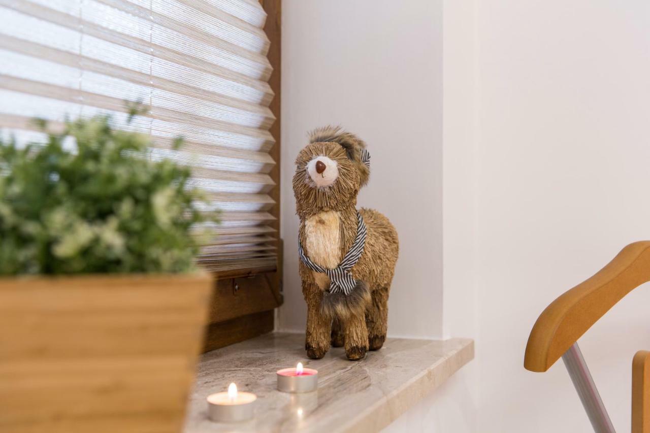 Apartament Pajo II -Rezydencja Tatry--Grota Solna--Balkon--Parking 자코파네 외부 사진